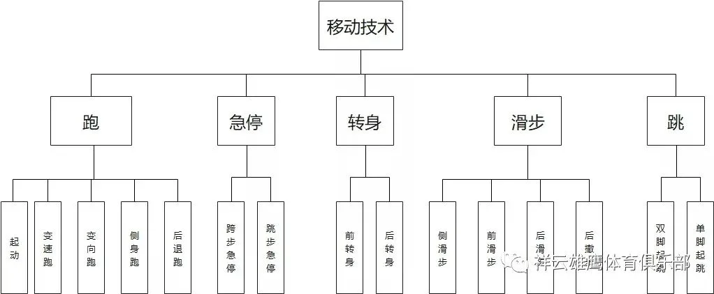 媒体记者如何报道篮球选秀权的动态_1